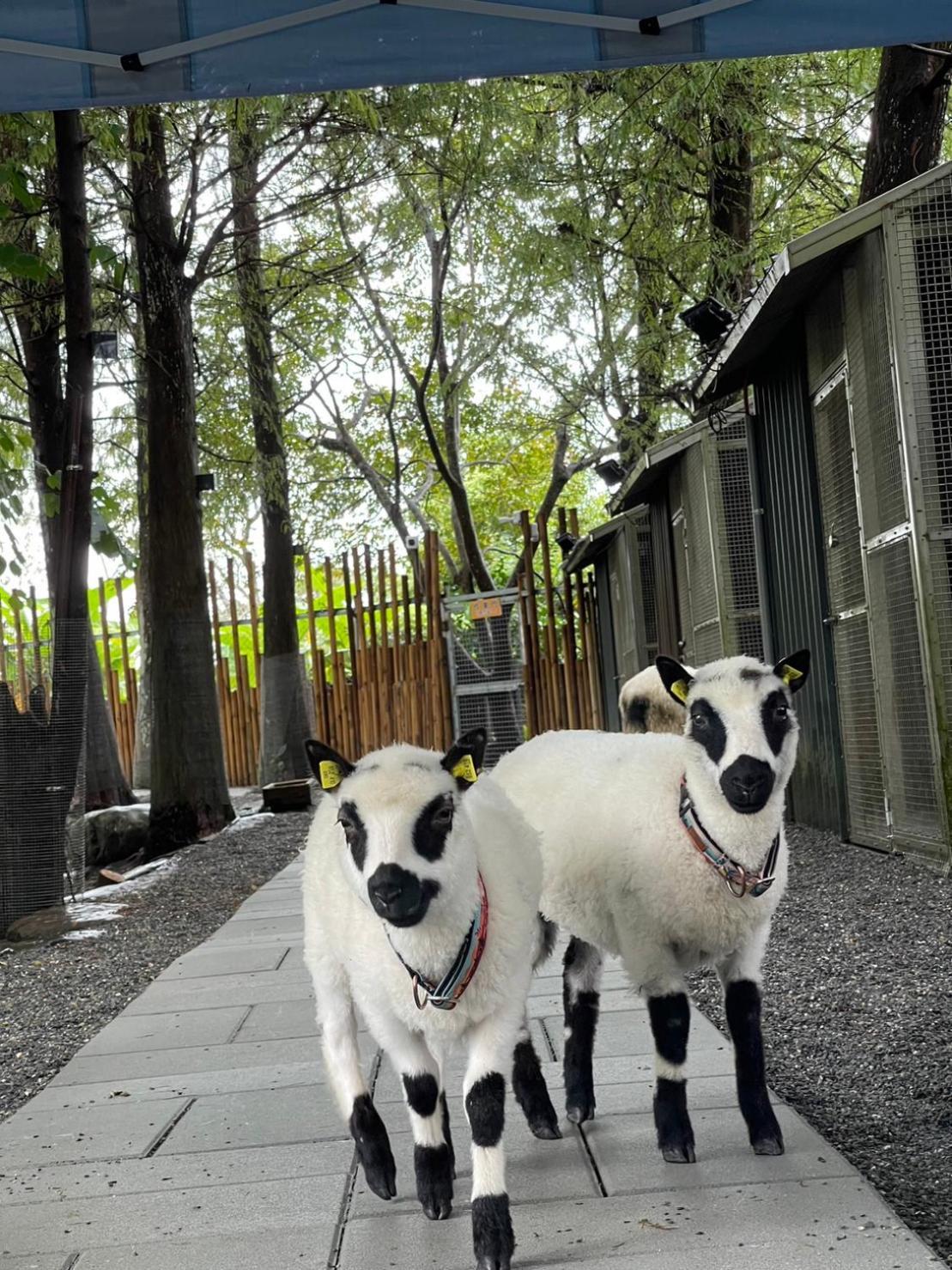 River Forest Leisure Farm Дуншань Екстер'єр фото
