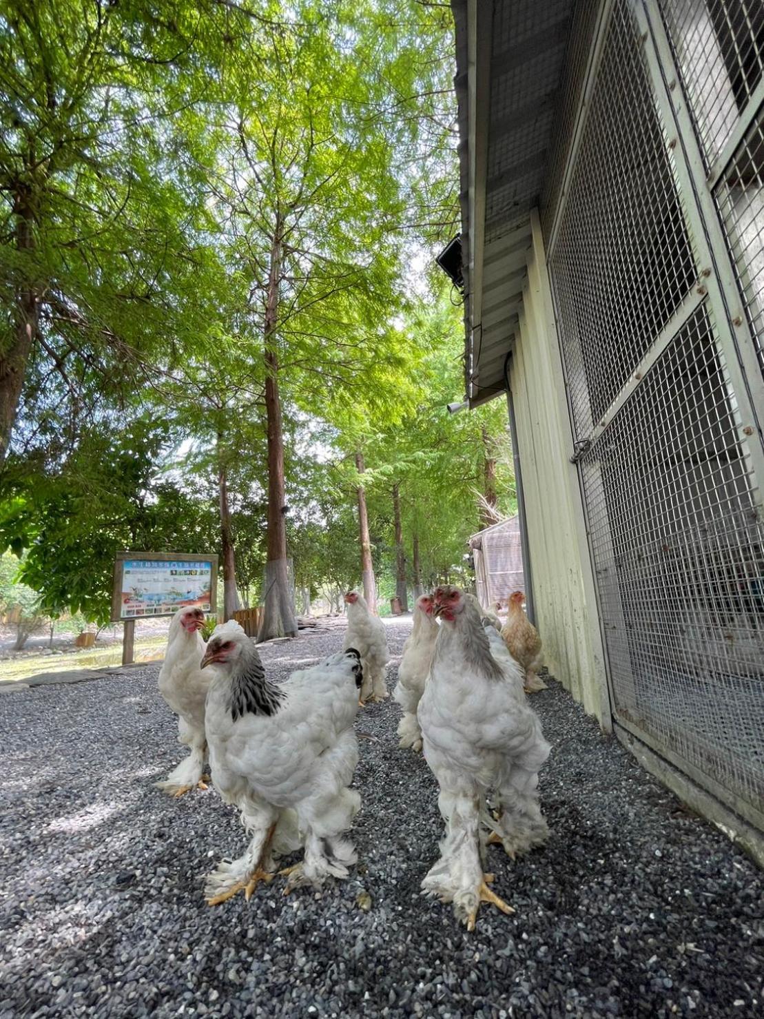 River Forest Leisure Farm Дуншань Екстер'єр фото
